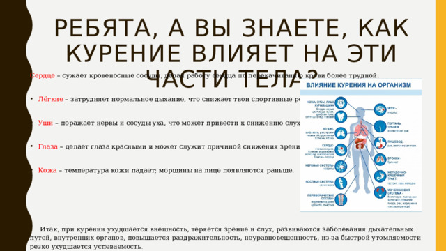 Ребята, а вы знаете, как курение влияет на эти части тела? Сердце – сужает кровеносные сосуды, делая работу сердца по перекачиванию крови более трудной. Лёгкие – затрудняет нормальное дыхание, что снижает твои спортивные результаты. Уши – поражает нервы и сосуды уха, что может привести к снижению слуха. Глаза – делает глаза красными и может служит причиной снижения зрения. Кожа – температура кожи падает; морщины на лице появляются раньше.  Итак, при курении ухудшается внешность, теряется зрение и слух, развиваются заболевания дыхательных путей, внутренних органов, повышается раздражительность, неуравновешенность, из-за быстрой утомляемости резко ухудшается успеваемость . 