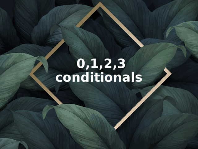 0,1,2,3 conditionals 