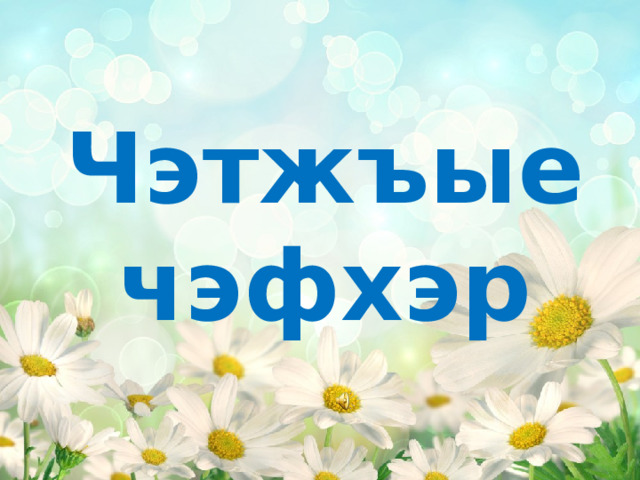 Чэтжъые чэфхэр 