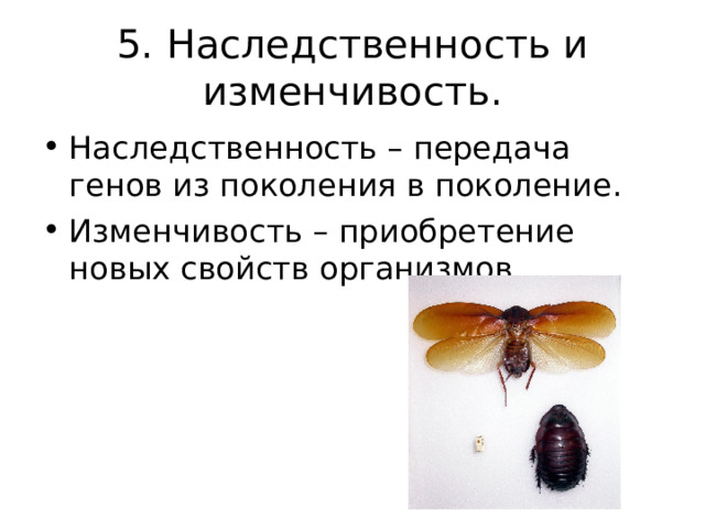 5. Наследственность и изменчивость. Наследственность – передача генов из поколения в поколение. Изменчивость – приобретение новых свойств организмов.  