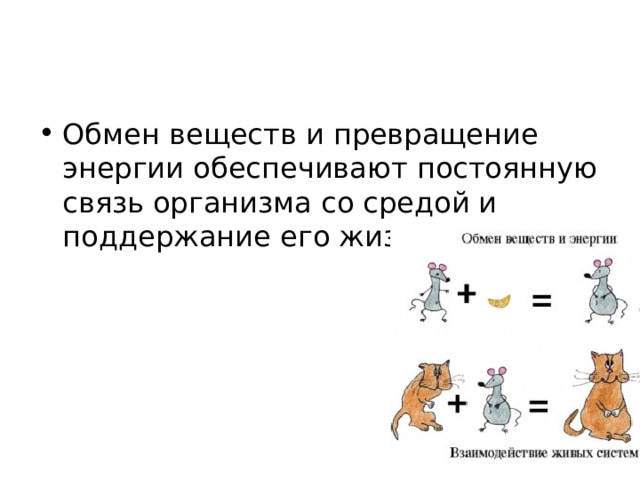Обмен веществ и превращение энергии обеспечивают постоянную связь организма со средой и поддержание его жизни.  