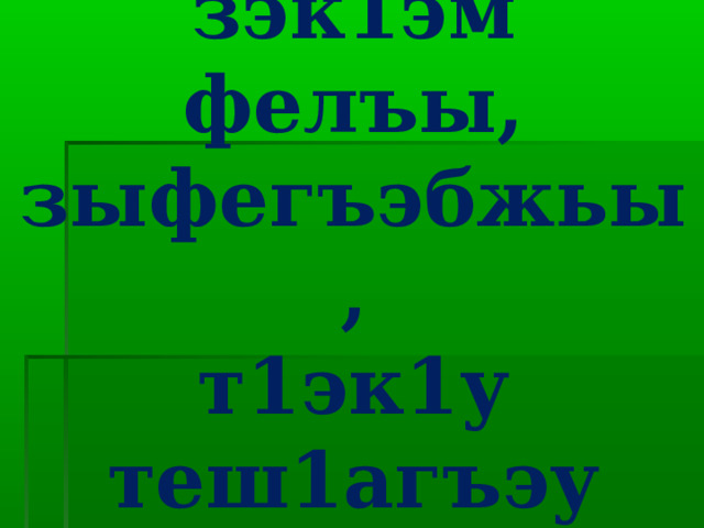 Гущы1ак1эхэр:  зэк1эм фелъы,  зыфегъэбжьы,  т1эк1у теш1агъэу зыкъеш1эжьы 