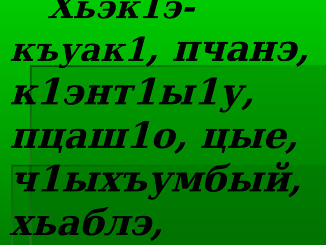  Гущы1ак1эхэр:   Хьэк1э-къуак1 , пчанэ, к1энт1ы1у, пцаш1о, цые, ч1ыхъумбый, хьаблэ, Усэрэжъ. 