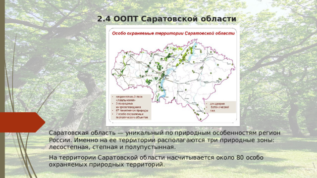 2.4 ООПТ Саратовской области Саратовская область — уникальный по природным особенностям регион России. Именно на ее территории располагаются три природные зоны: лесостепная, степная и полупустынная. На территории Саратовской области насчитывается около 80 особо охраняемых природных территорий. 