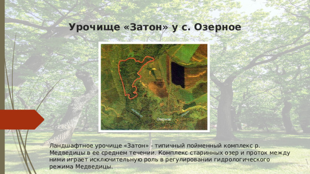 Урочище «Затон» у с. Озерное Ландшафтное урочище «Затон» - типичный пойменный комплекс р. Медведицы в ее среднем течении. Комплекс старинных озер и проток между ними играет исключительную роль в регулировании гидрологического режима Медведицы. 