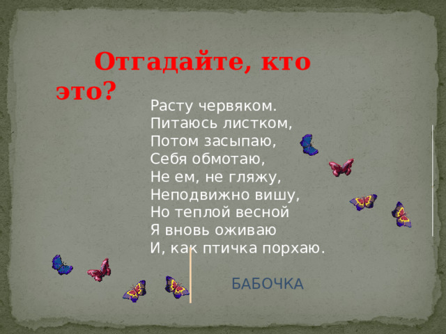  Отгадайте, кто это? Расту червяком.   Питаюсь листком,  Потом засыпаю,   Себя обмотаю,   Не ем, не гляжу,  Неподвижно вишу,  Но теплой весной  Я вновь оживаю  И, как птичка порхаю.  БАБОЧКА 