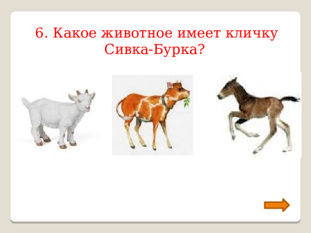 6. Какое животное имеет кличку Сивка-Бурка? 