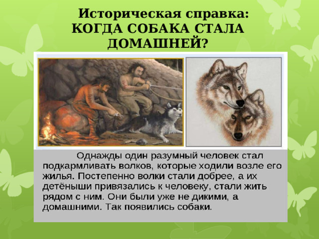  Историческая справка:  КОГДА СОБАКА СТАЛА ДОМАШНЕЙ? 