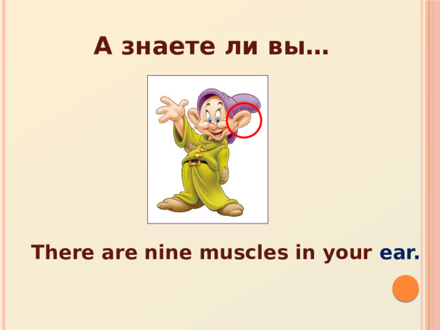 А знаете ли вы… There are nine muscles in your ear. 