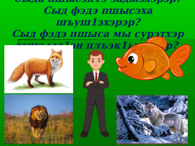 Сыда пшысэк1э заджэхэрэр?  Сыд фэдэ пшысэха шъуш1эхэрэр?  Сыд фэдэ пшыса мы сурэтхэр зэпхьыл1эн плъэк1ыщтхэр?   
