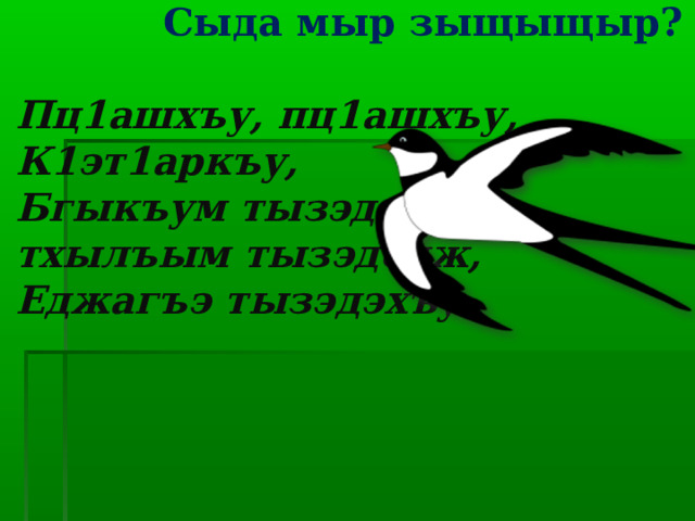  Сыда мыр зыщыщыр?   Пц1ашхъу, пц1ашхъу,  К1эт1аркъу,  Бгыкъум тызэдеплъ,  тхылъым тызэдедж,  Еджагъэ тызэдэхъу.   