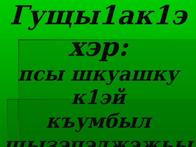 Гущы1ак1эхэр:  псы шкуашку  к1эй  къумбыл  щызэпэджэжьы   
