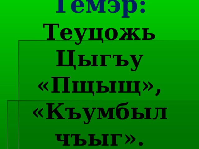 Темэр:  Теуцожь Цыгъу «Пщыщ», «Къумбыл чъыг». 