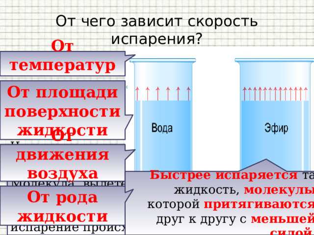 От чего зависит скорость испарения? От температуры От площади поверхности жидкости От движения воздуха (ветра) Чем выше температура жидкости, тем больше скорость движения молекул , у которых кинетическая энергия достаточна, чтобы преодолеть притяжение соседних молекул и вылететь с поверхности жидкости. Жидкость могут покинуть только те молекулы, которые находятся у самой поверхности . Чем больше площадь испаряемой поверхности, тем большее число молекул одновременно вылетают из жидкости . Быстрее испаряется та жидкость, молекулы которой притягиваются друг к другу с меньшей силой . Молекула, вылетевшая из жидкости, может вернуться обратно в жидкость . Если дует ветер, который уносит эти молекулы , испарение происходит быстрее От рода жидкости 
