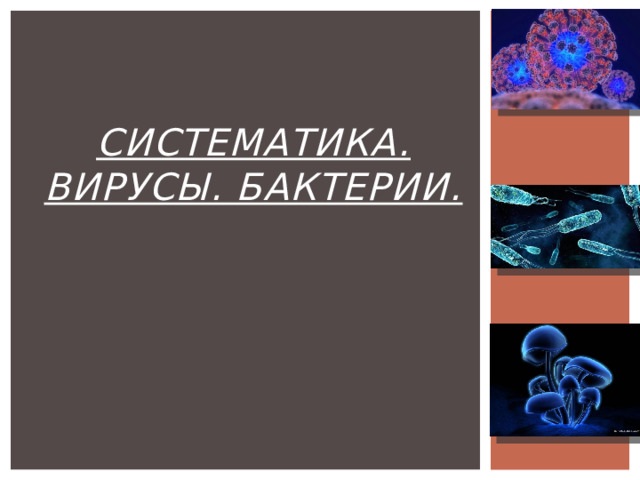 Систематика. Вирусы. Бактерии.   