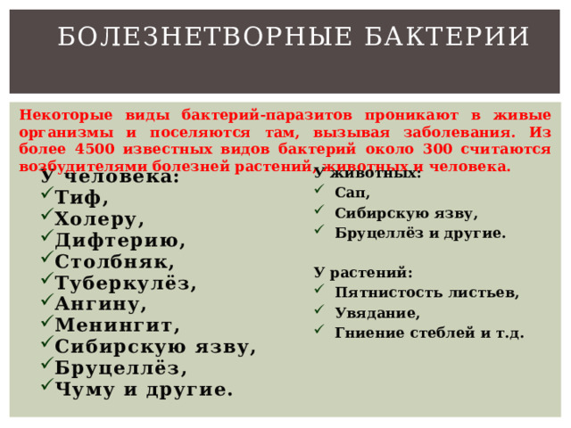 Болезнетворные бактерии Некоторые виды бактерий-паразитов проникают в живые организмы и поселяются там, вызывая заболевания. Из более 4500 известных видов бактерий около 300 считаются возбудителями болезней растений, животных и человека. У животных: Сап, Сибирскую язву, Бруцеллёз и другие.  У растений: Пятнистость листьев, Увядание, Гниение стеблей и т.д. У человека: Тиф, Холеру, Дифтерию, Столбняк, Туберкулёз, Ангину, Менингит, Сибирскую язву, Бруцеллёз, Чуму и другие. 