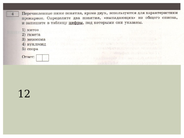 12 