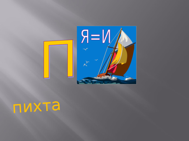 пихта 