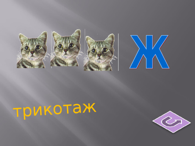 трикотаж 
