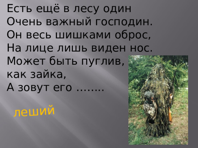 Есть ещё в лесу один Очень важный господин. Он весь шишками оброс, На лице лишь виден нос. Может быть пуглив, как зайка, А зовут его …….. леший 