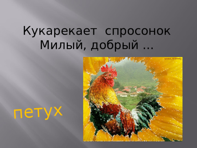 петух Кукарекает спросонок Милый, добрый ...   