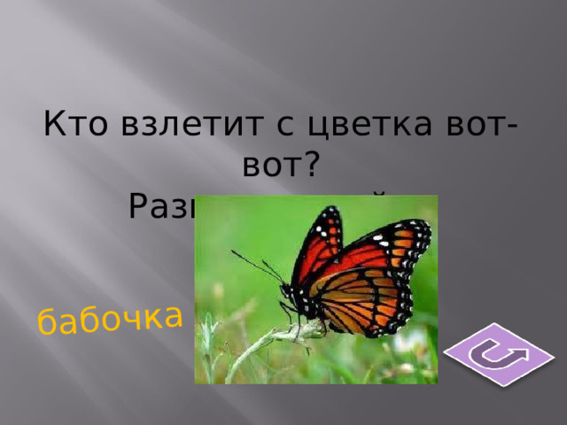 бабочка Кто взлетит с цветка вот-вот? Разноцветный ... 