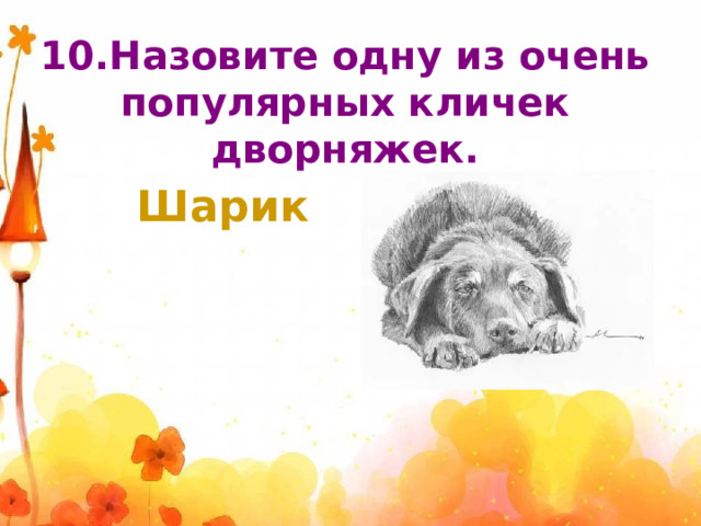 10.Назовите одну из очень популярных кличек дворняжек. Шарик 