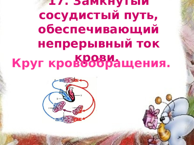 17. Замкнутый сосудистый путь, обеспечивающий непрерывный ток крови. Круг кровообращения. 