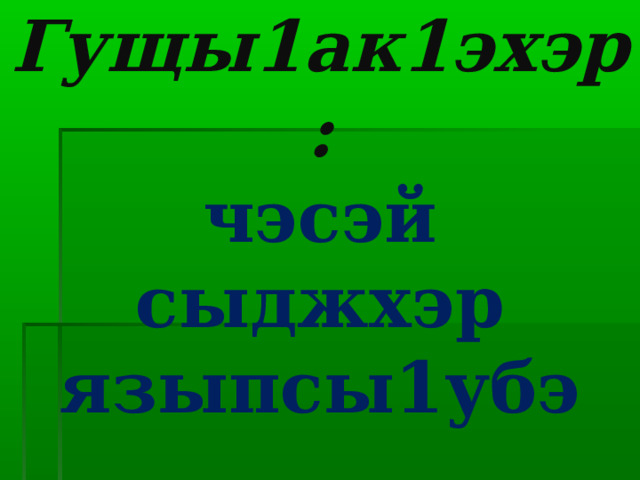 Гущы1ак1эхэр:  чэсэй  сыджхэр  языпсы1убэ 