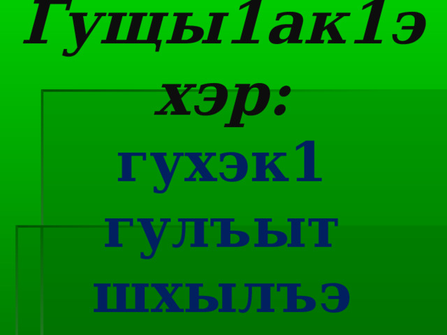Гущы1ак1эхэр:  гухэк1  гулъыт  шхылъэ   
