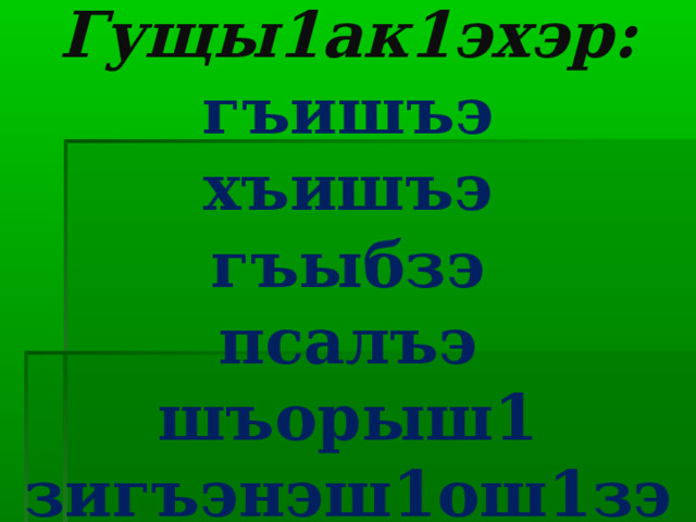 Гущы1ак1эхэр:  гъишъэ  хъишъэ  гъыбзэ  псалъэ  шъорыш1  зигъэнэш1ош1зэ 