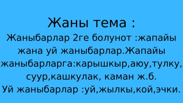 Жаны тема : Жаныбарлар 2ге болунот :жапайы жана уй жаныбарлар.Жапайы жаныбарларга:карышкыр,аюу,тулку,суур,кашкулак, каман ж.б. Уй жаныбарлар :уй,жылкы,кой,эчки. 