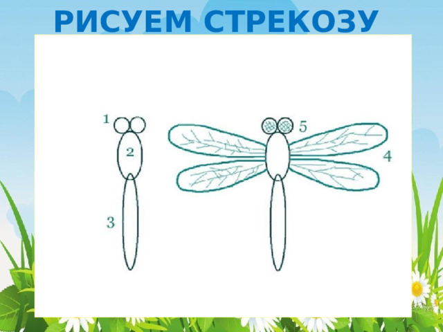 РИСУЕМ СТРЕКОЗУ 