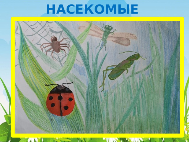 НАСЕКОМЫЕ 