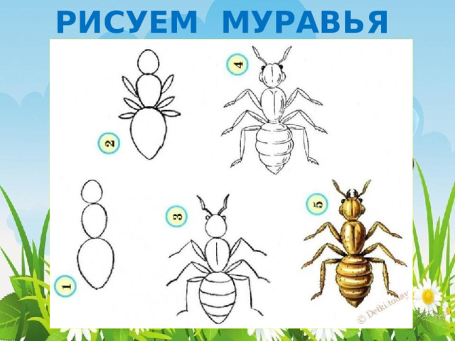 РИСУЕМ МУРАВЬЯ 