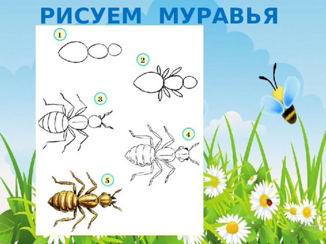 РИСУЕМ МУРАВЬЯ 