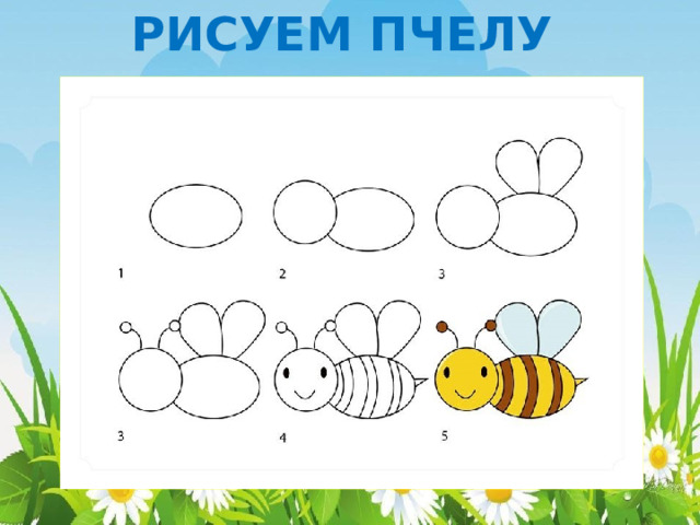 РИСУЕМ ПЧЕЛУ 