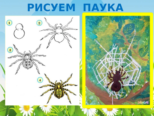 РИСУЕМ ПАУКА 