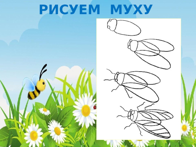РИСУЕМ МУХУ 
