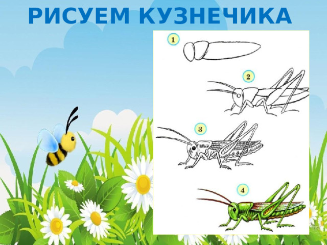 РИСУЕМ КУЗНЕЧИКА 