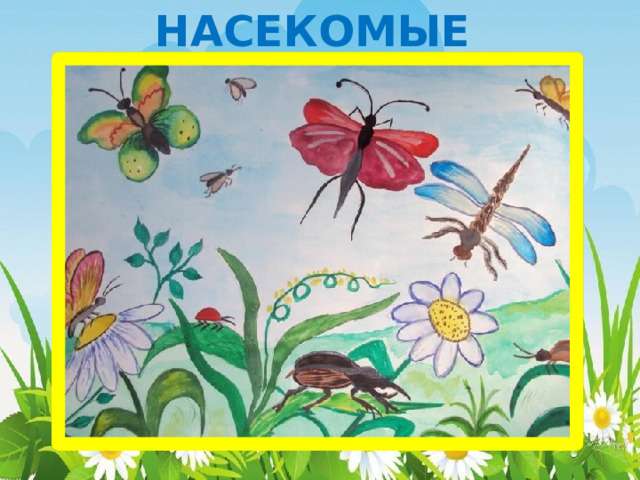 НАСЕКОМЫЕ 
