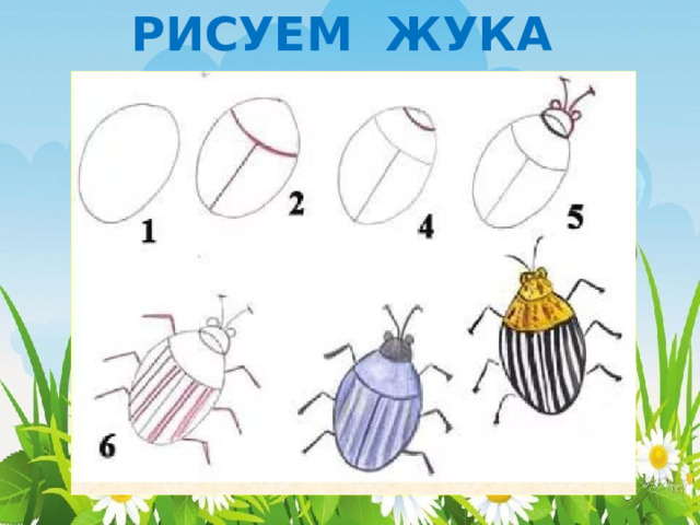 РИСУЕМ ЖУКА 