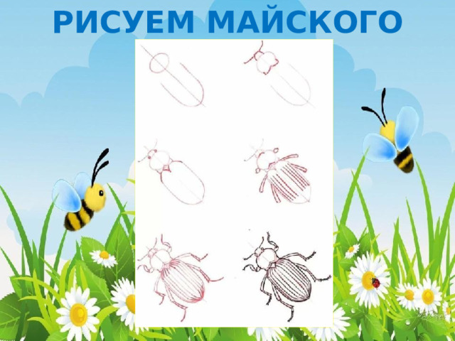 РИСУЕМ МАЙСКОГО ЖУКА 