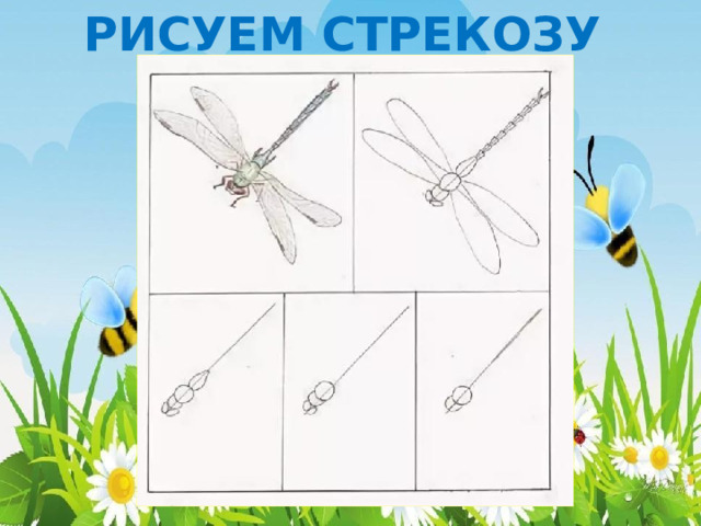 РИСУЕМ СТРЕКОЗУ 