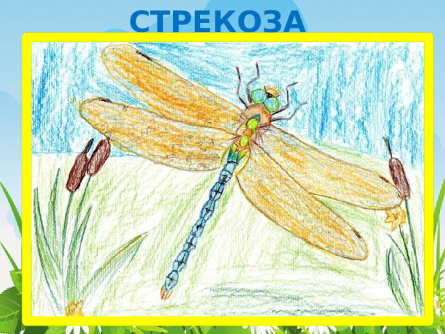 СТРЕКОЗА 