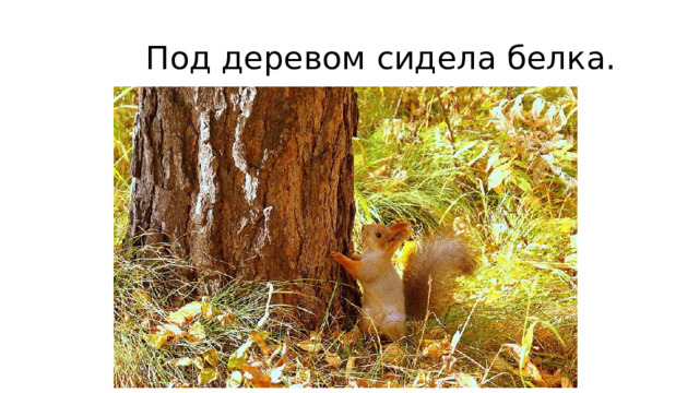  Под деревом сидела белка. 