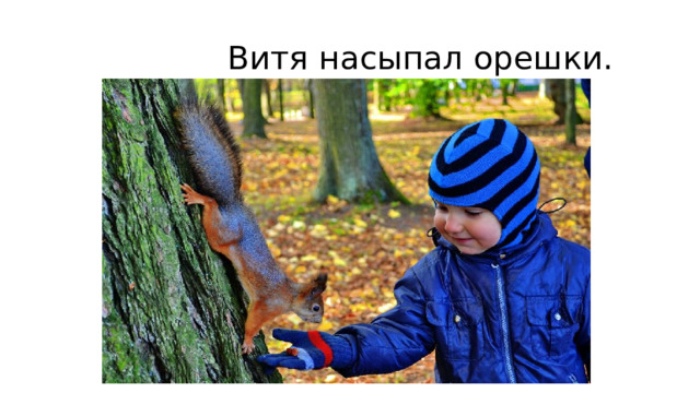  Витя насыпал орешки. 