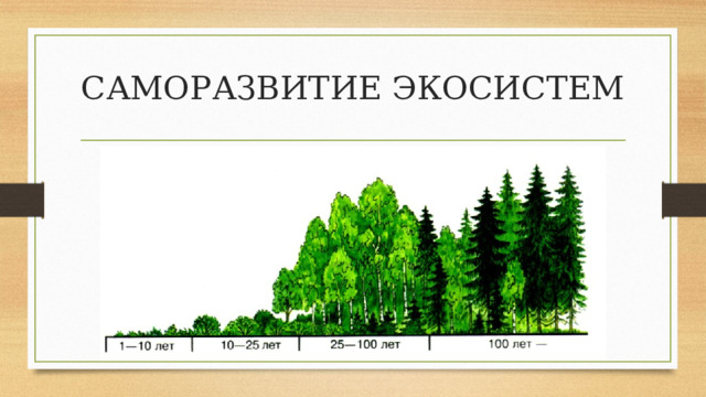 САМОРАЗВИТИЕ ЭКОСИСТЕМ 