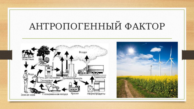 АНТРОПОГЕННЫЙ ФАКТОР 