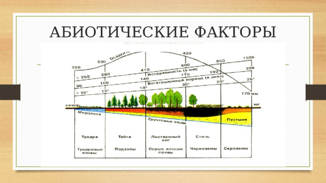 АБИОТИЧЕСКИЕ ФАКТОРЫ 